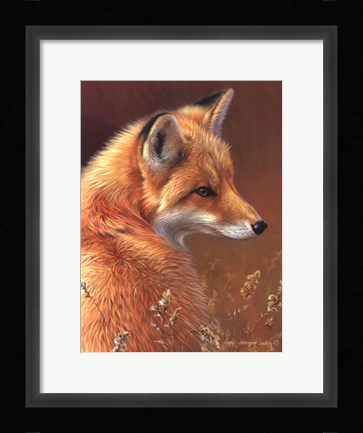 Framed Curious- Red Fox Print