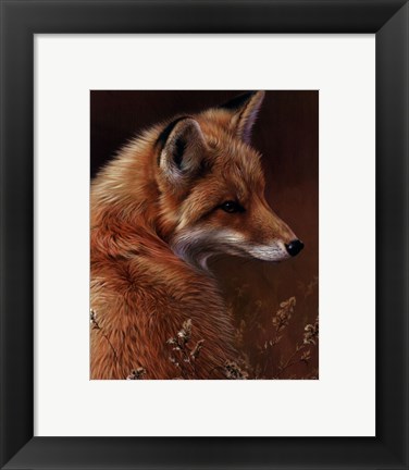 Framed Curious- Red Fox Print