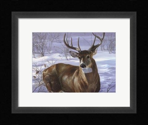 Framed Through My Window- Whitetail Deer Print