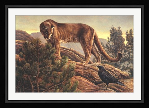 Framed Curiosity Print