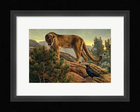 Framed Curiosity Print