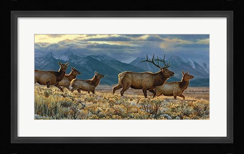 Framed On the Run Print