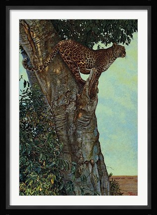 Framed On the Lookout Print