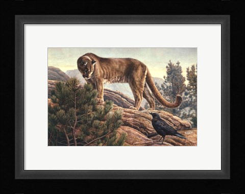 Framed Curiosity Print