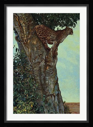 Framed On the Lookout Print