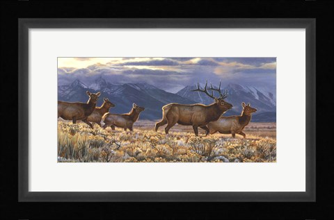 Framed On the Run Print