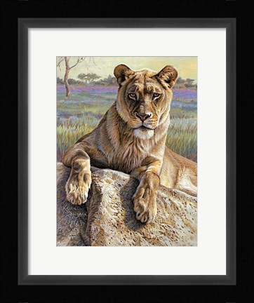 Framed Serengeti Lioness Print