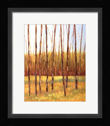 Framed Tall Trees I (left) Print