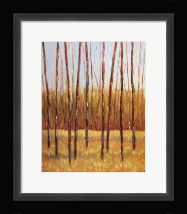 Framed Tall Trees II (right) Print