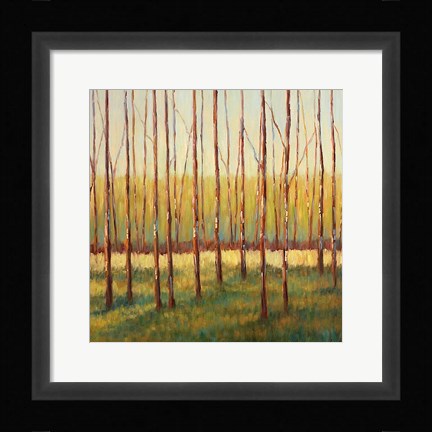 Framed Grove of Trees Print