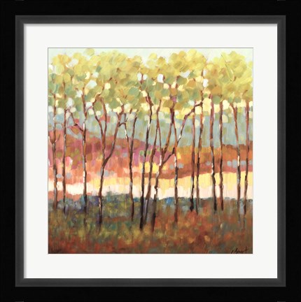 Framed Distant Color Print