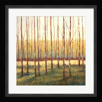 Framed Grove of Trees Print