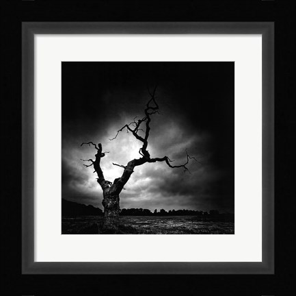 Framed Last Tree Print