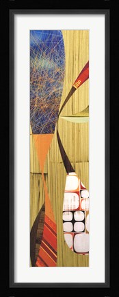 Framed Galapagos Print