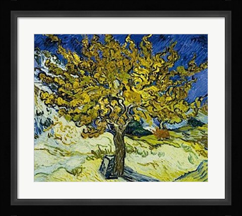 Framed Mulberry Tree, 1889 Print
