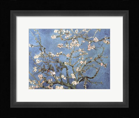 Framed Almond Blossom, 1890 Print