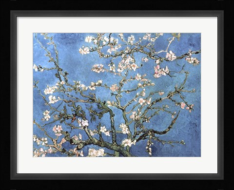 Framed Almond Blossom, 1890 Print