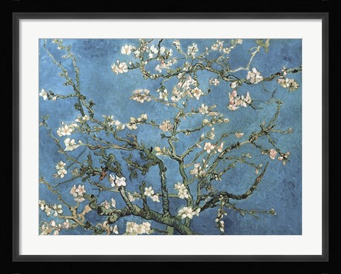 Framed Almond Blossom, 1890 Print