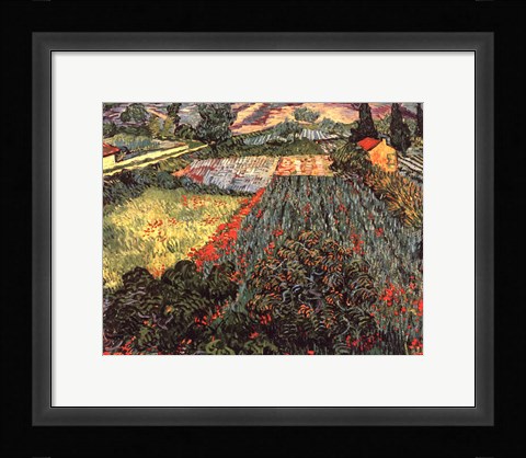 Framed Field of Poppies, Saint-Remy, c. 1889 Print