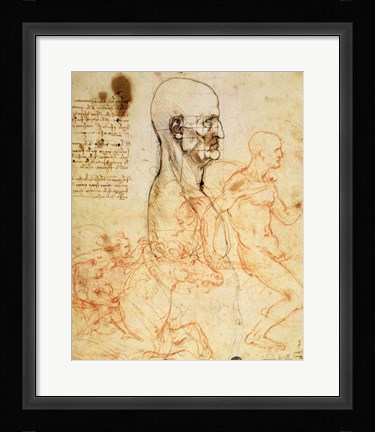 Framed Torso of a Man in Profile, the Head Squared for Proportion Print