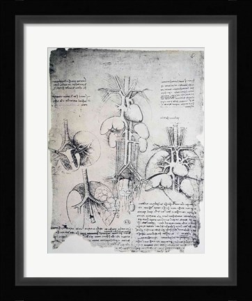 Framed Heart and the Circulation Print