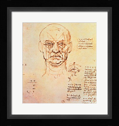 Framed Studies of the Proportions of the Face and Eye Print