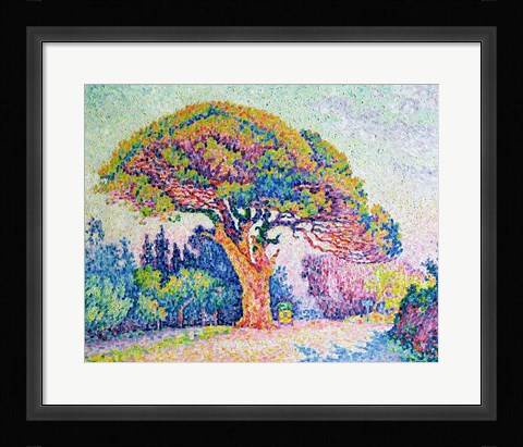 Framed Pine Tree at St. Tropez, 1909 Print
