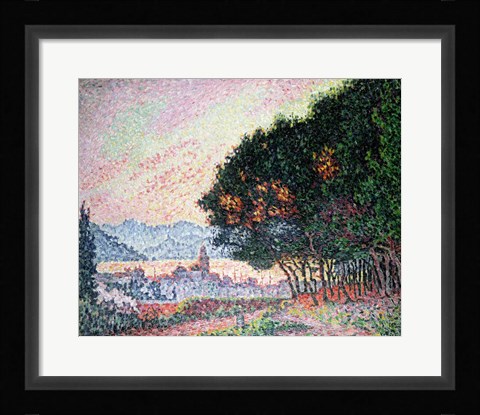 Framed Forest near St. Tropez, 1902 Print