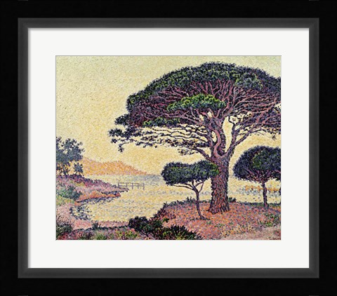 Framed Umbrella Pines at Caroubiers, 1898 Print