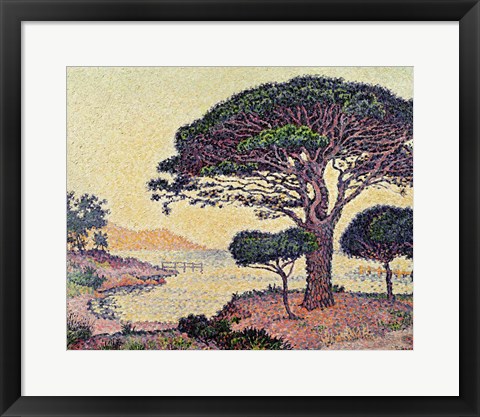 Framed Umbrella Pines at Caroubiers, 1898 Print