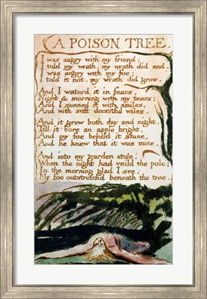 Framed Poison Tree, from Songs of Experience Print