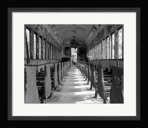 Framed Overgrowth Along The Line Print