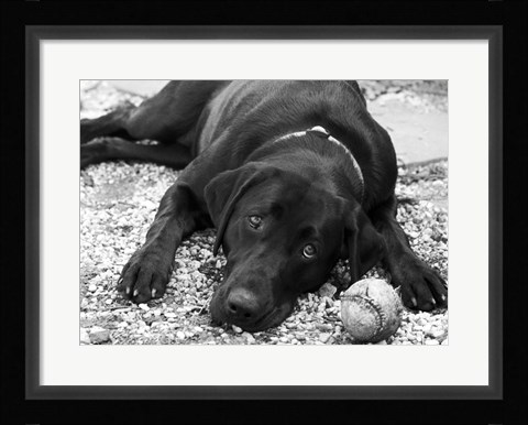 Framed Playful Print