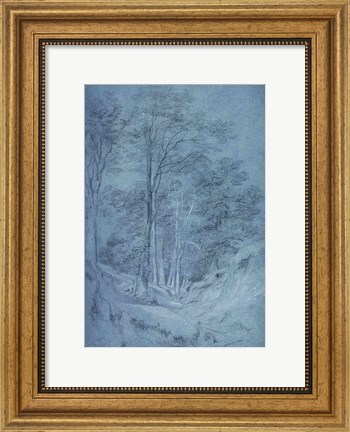 Framed Study of ash and other trees Print
