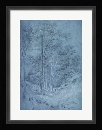 Framed Study of ash and other trees Print