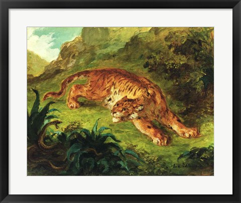 Framed Tiger and Snake, 1858 Print