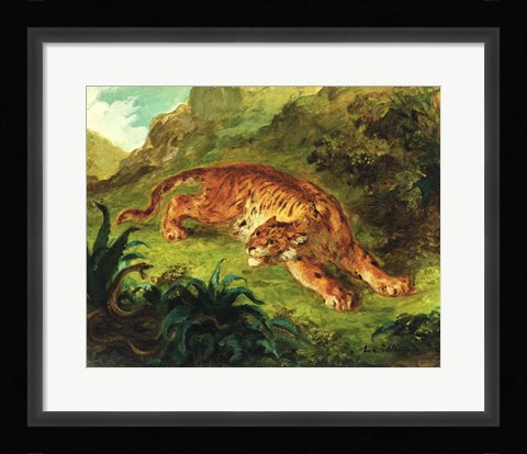 Framed Tiger and Snake, 1858 Print