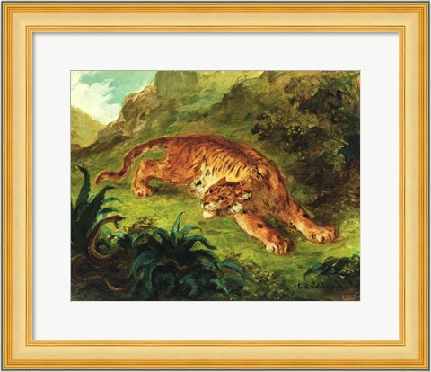 Framed Tiger and Snake, 1858 Print