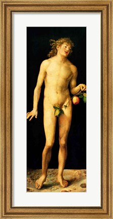 Framed Adam, 1507 Print