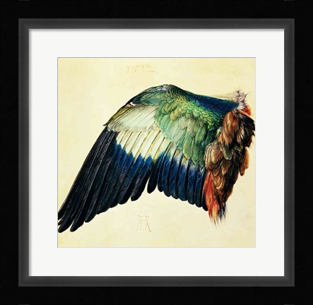 Framed Wing of a Blue Roller, 1512 Print