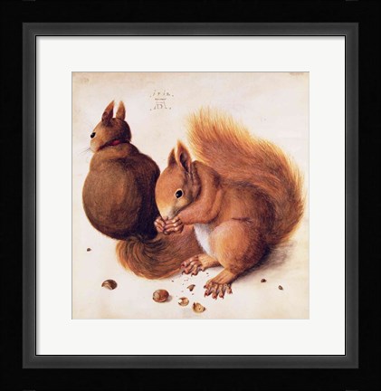 Framed Squirrels, 1512 Print