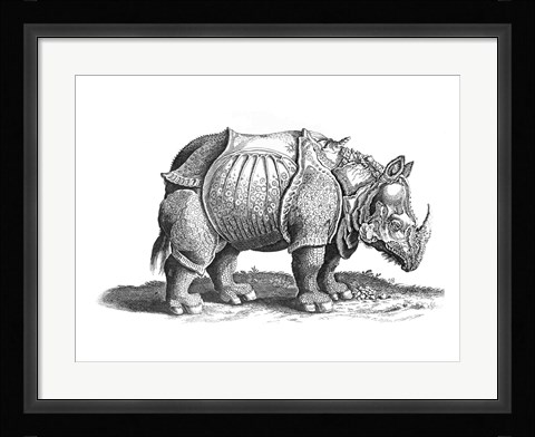 Framed Rhinoceros Print