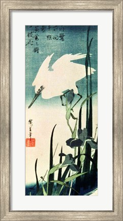 Framed White Heron and Iris Print