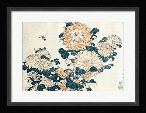 Framed Chrysanthemums Print