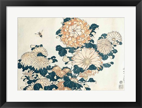 Framed Chrysanthemums Print