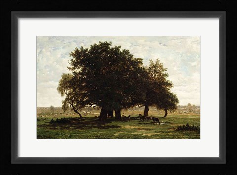Framed Holm Oaks, Apremont Print