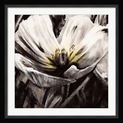 Framed Light &amp; Shadow Print