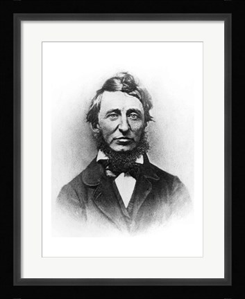 Framed Henry Thoreau Print