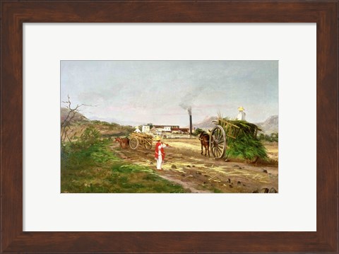 Framed Peasants Collecting Sugar Cane Print