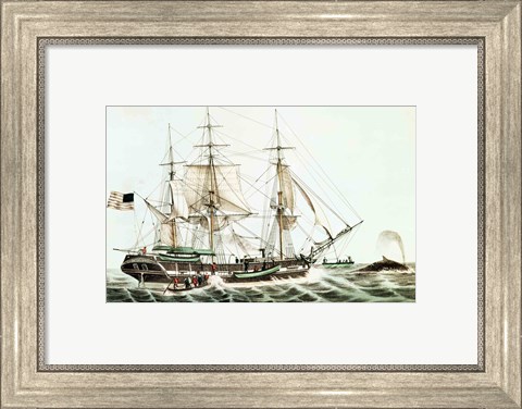 Framed American Whaler Print